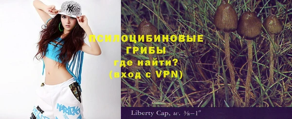 стаф Абдулино