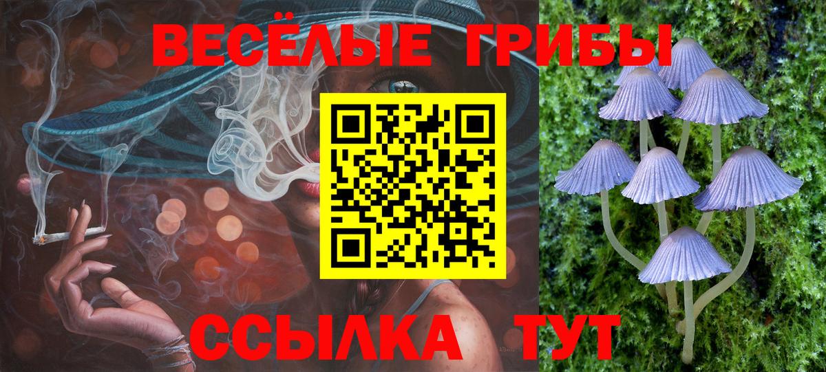 Псилоцибиновые грибы Psilocybe  Псилоцибиновые грибы GOLDEN TEACHER  Красноперекопск  Вход с VPN 
