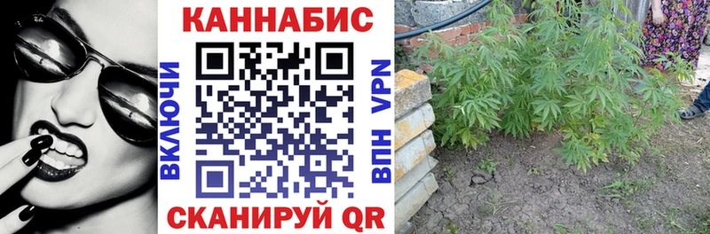 Конопля OG Kush Красноперекопск